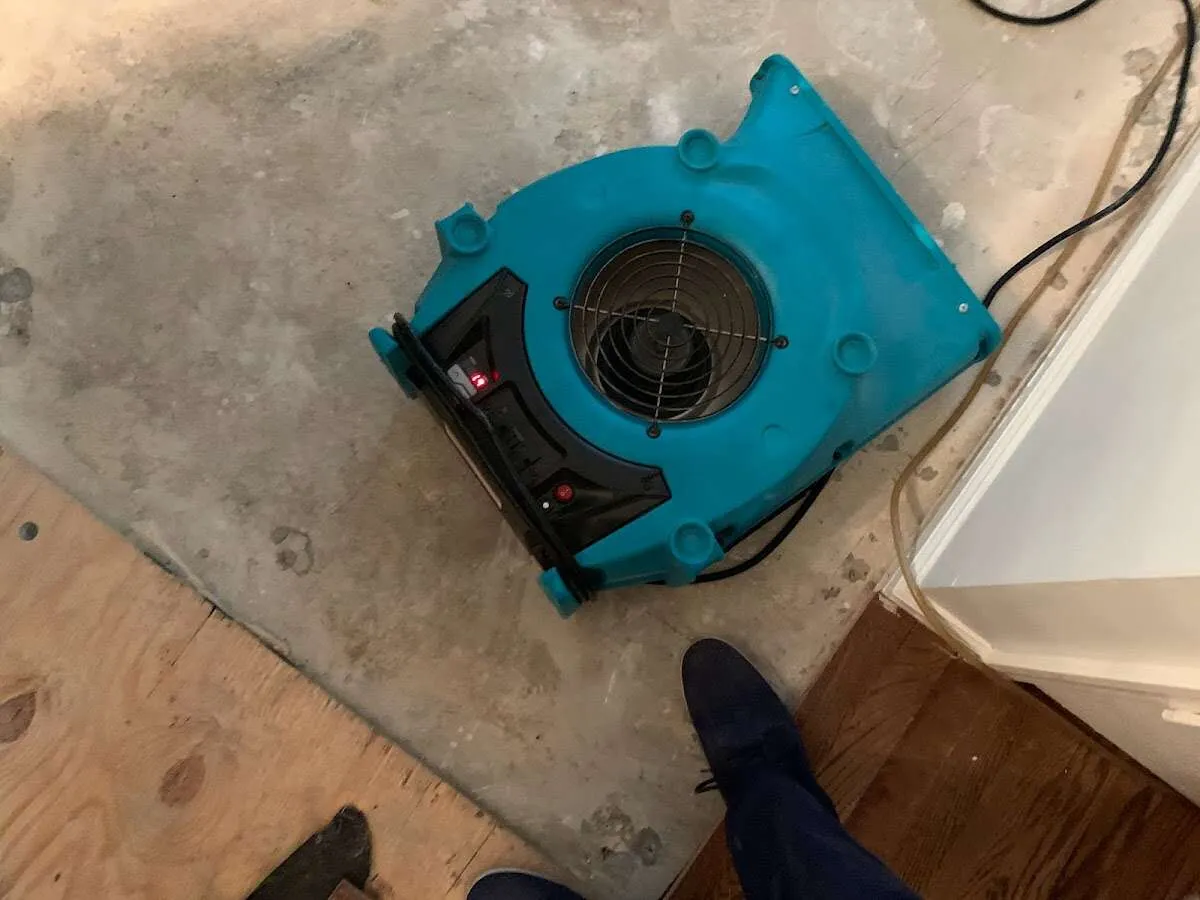 Air mover drying subfloor during Commercial Water Damage Restoration in Bonney Lake